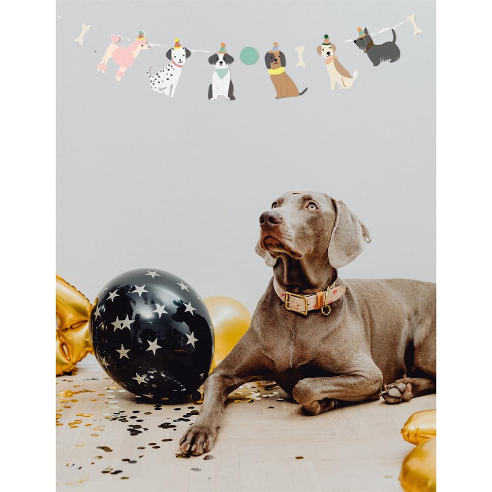 Dogs Köpek Dostlarımız Banner Duvar Süsü