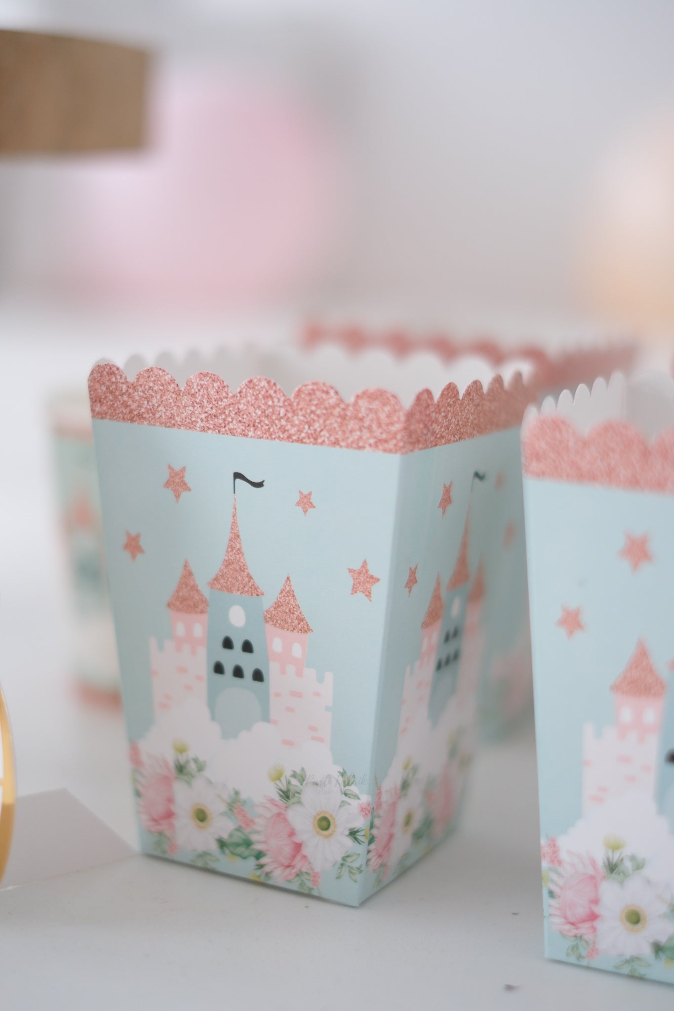 Prenses Şato Temalı Mint Mısır Popcorn Kutusu 8 Adet